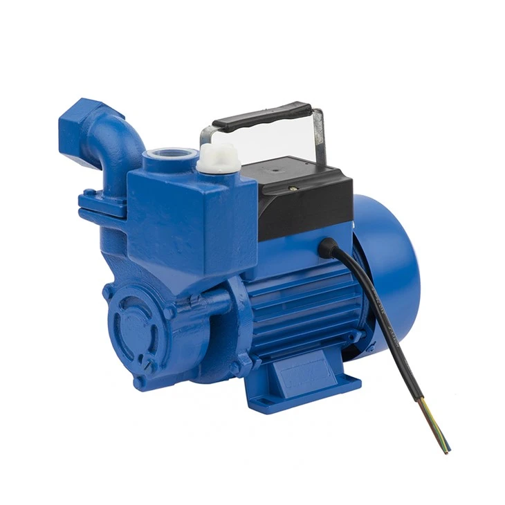 Izdb-65 0.75kw 1HP Rise 45m Trydan Cyffredinol Pres Impeller Hunan-Preimio Pwmp Dŵr Ymylol